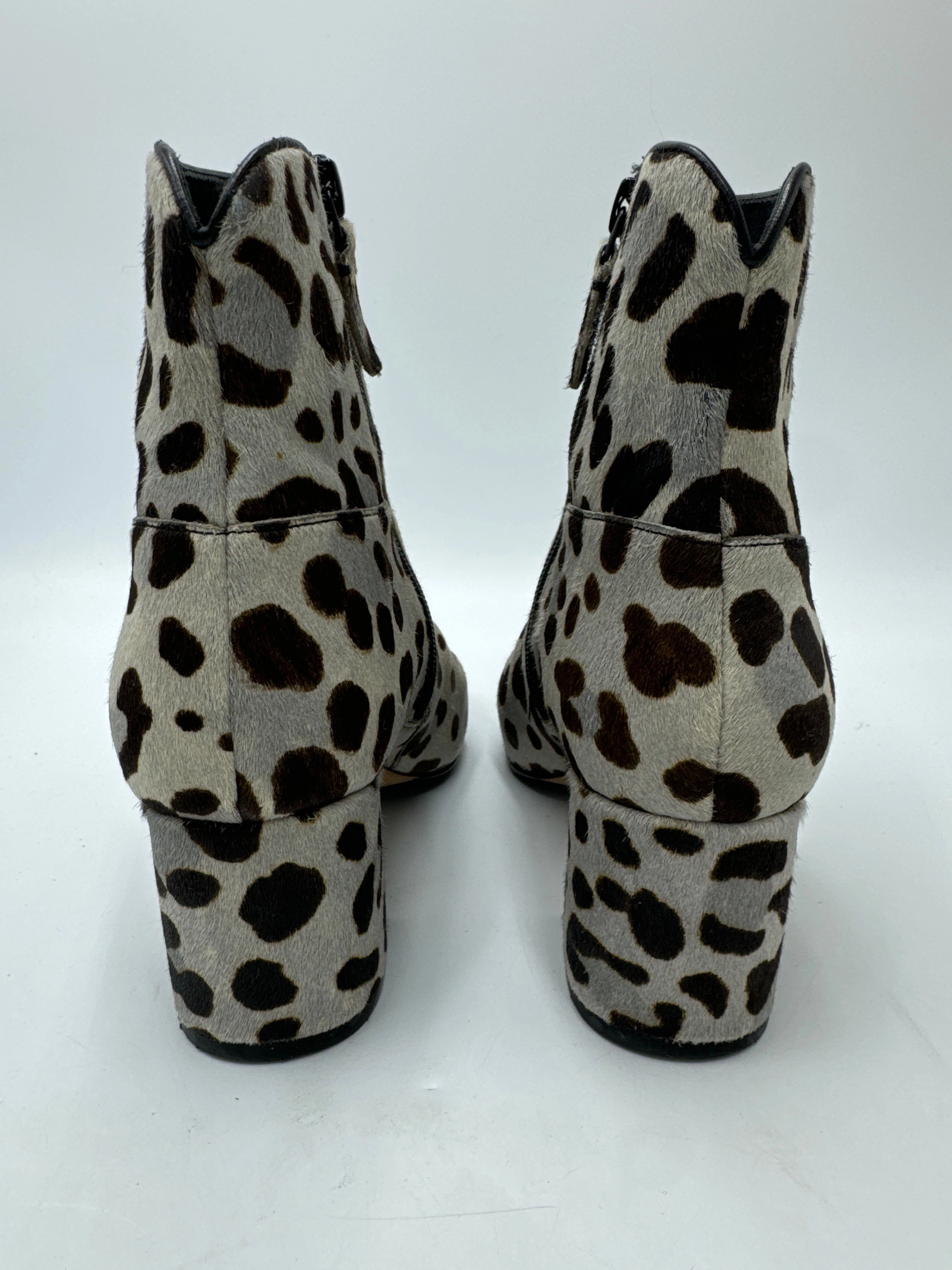 Boots Ankle Heels By Cole-haan In Animal Print, Size: 6