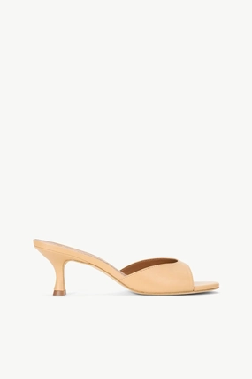 Brigitte Mule - Porcini