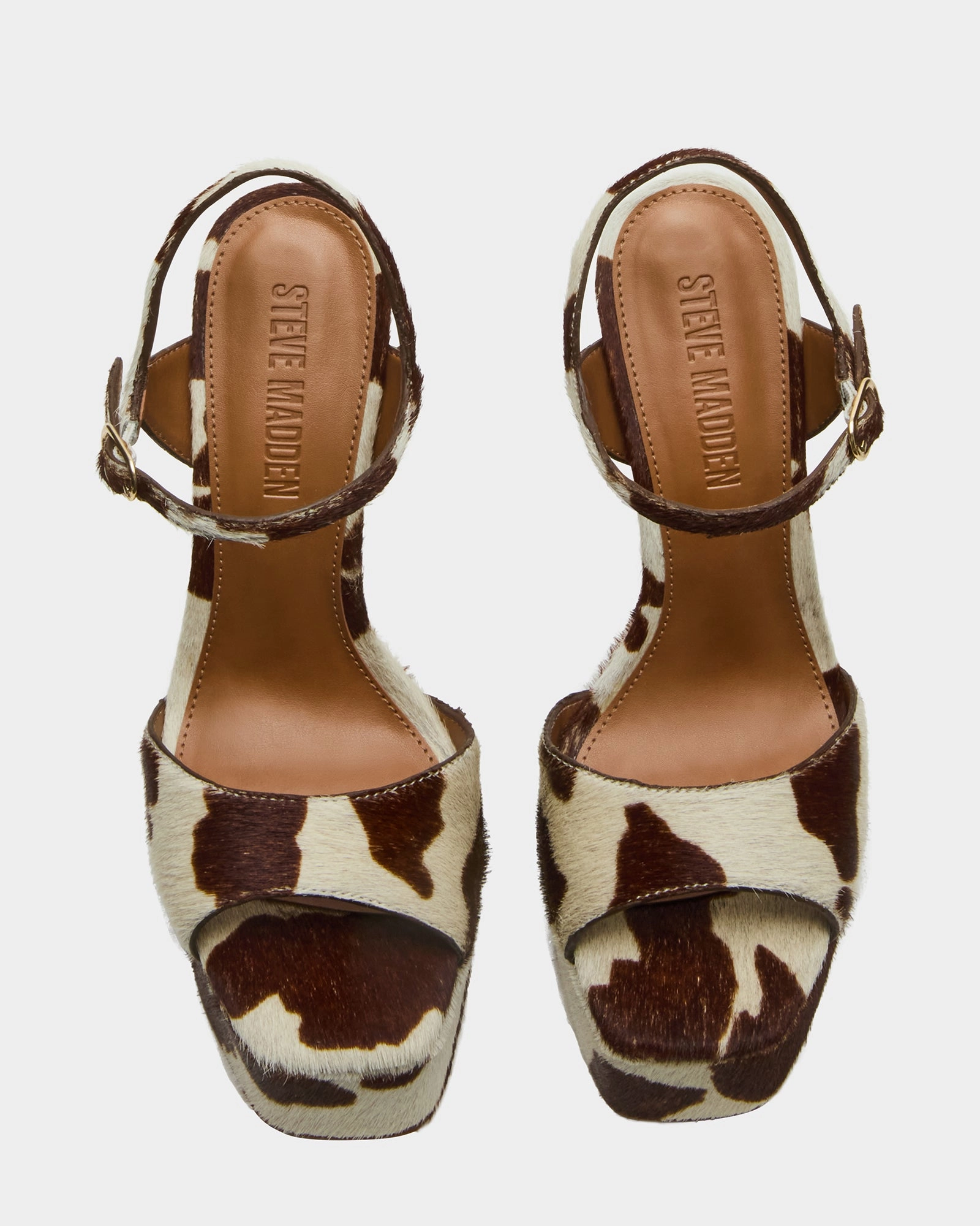 COLOGNE BROWN COW PRINT