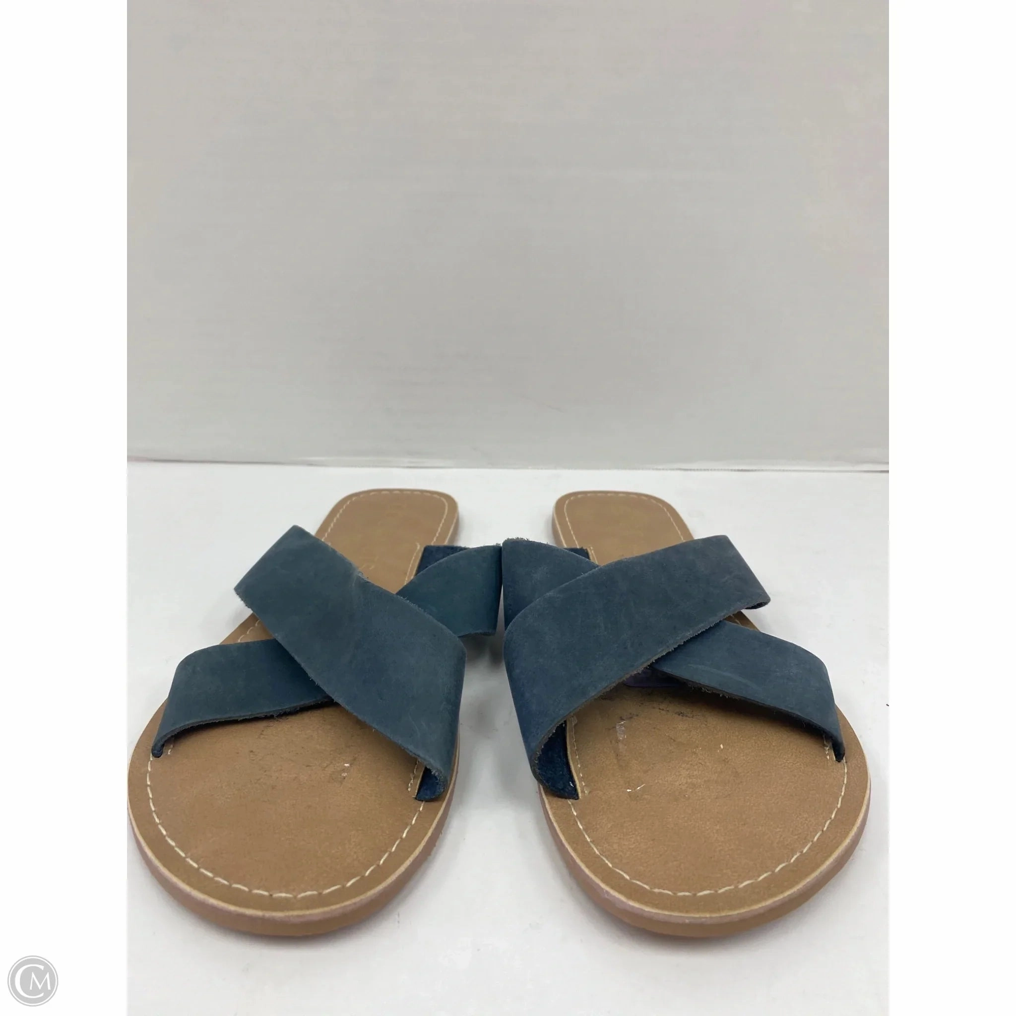 Sandals Flip Flops By Coconuts In Blue, Size: 8