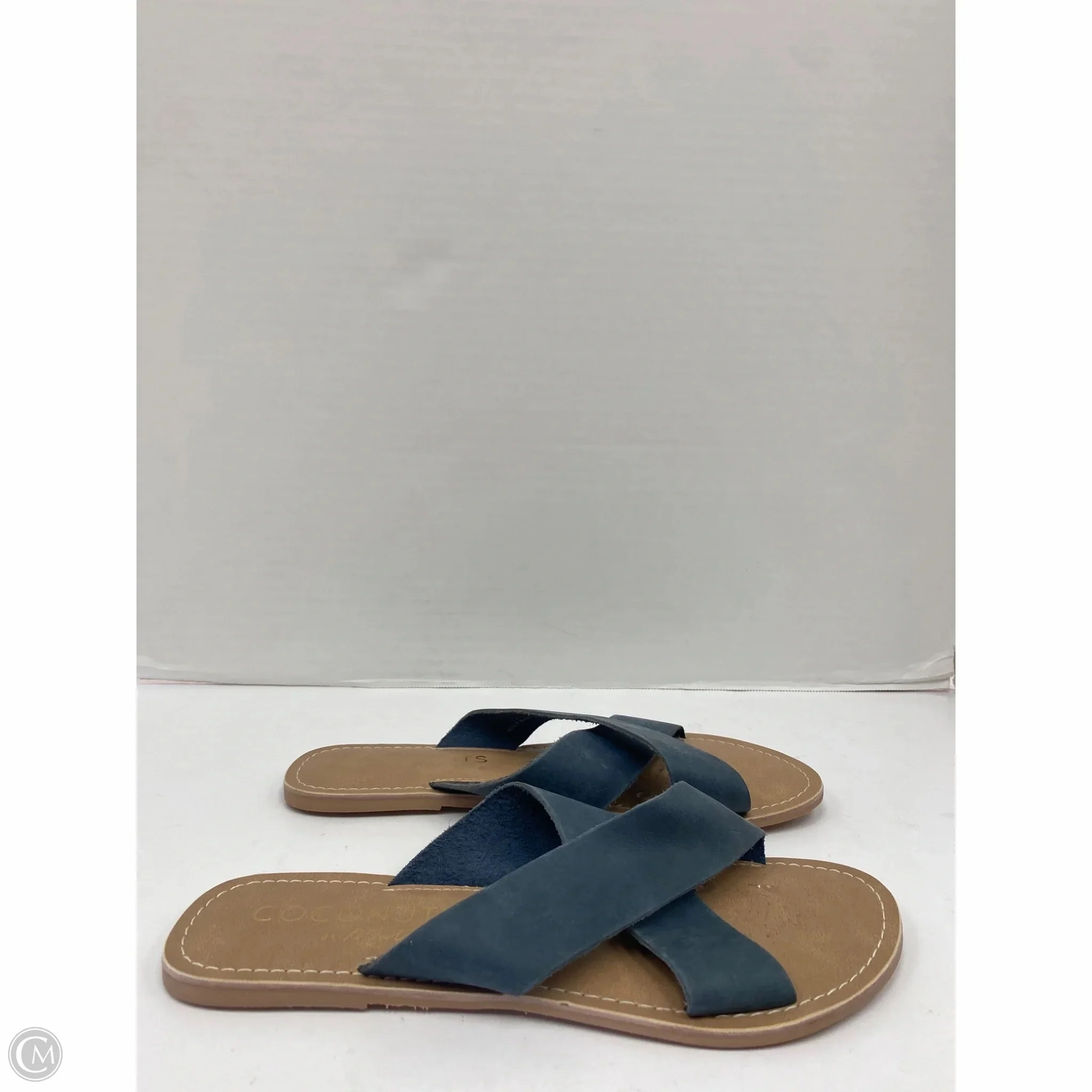 Sandals Flip Flops By Coconuts In Blue, Size: 8