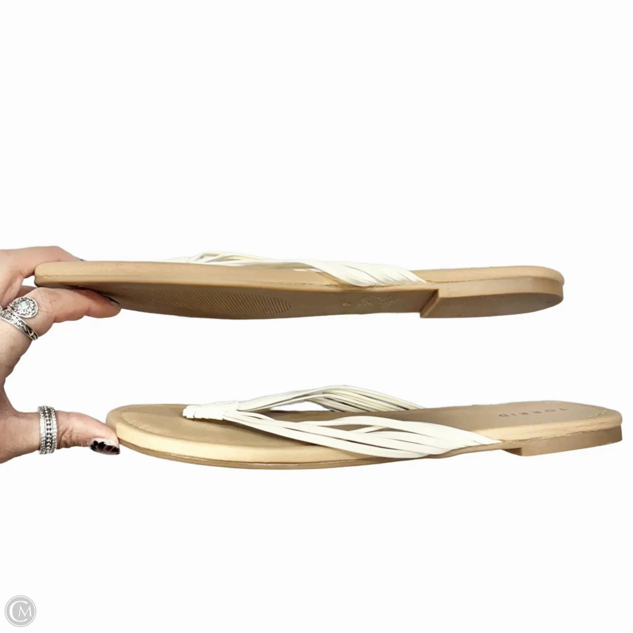 Sandals Flip Flops By Torrid In White, Size: 12