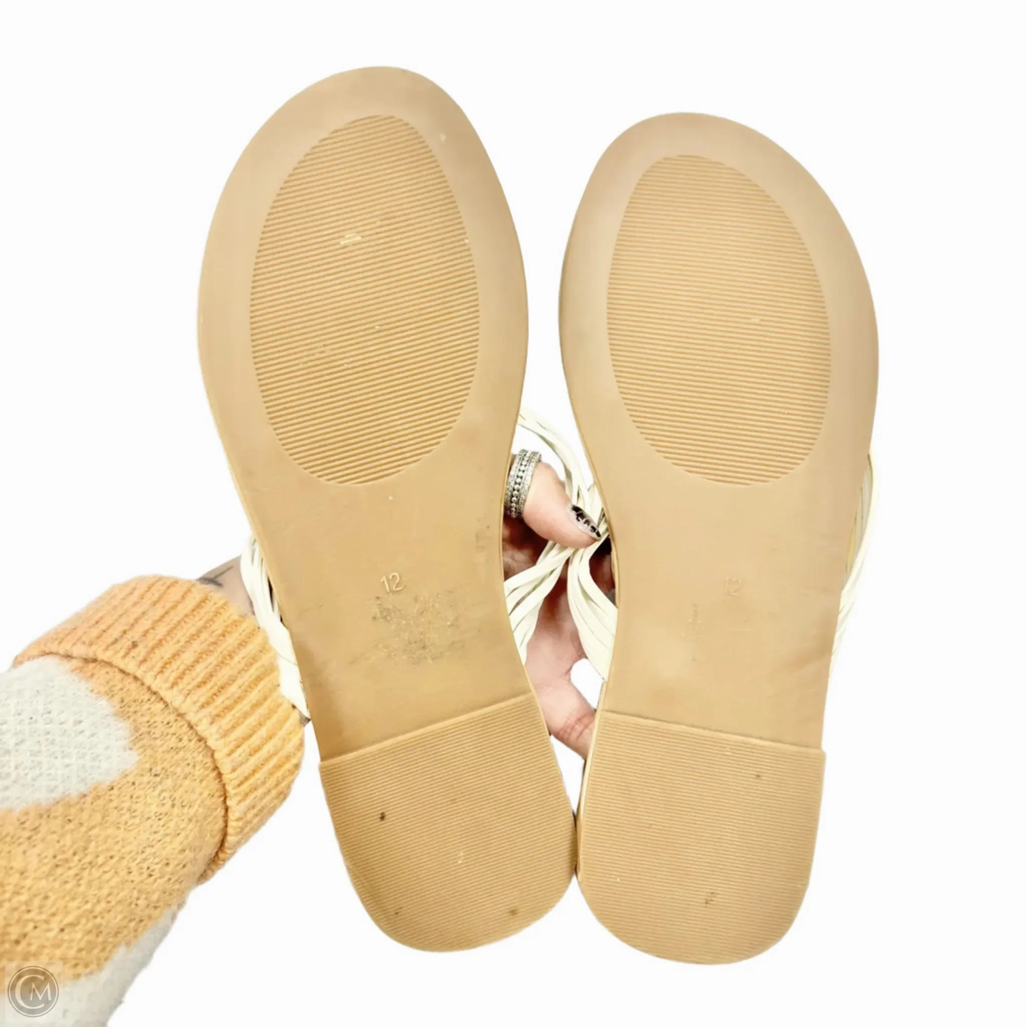 Sandals Flip Flops By Torrid In White, Size: 12