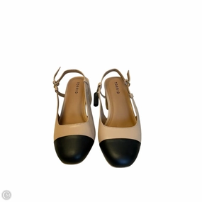 Shoes Heels Block By Torrid In Black & Cream, Size: 8.5