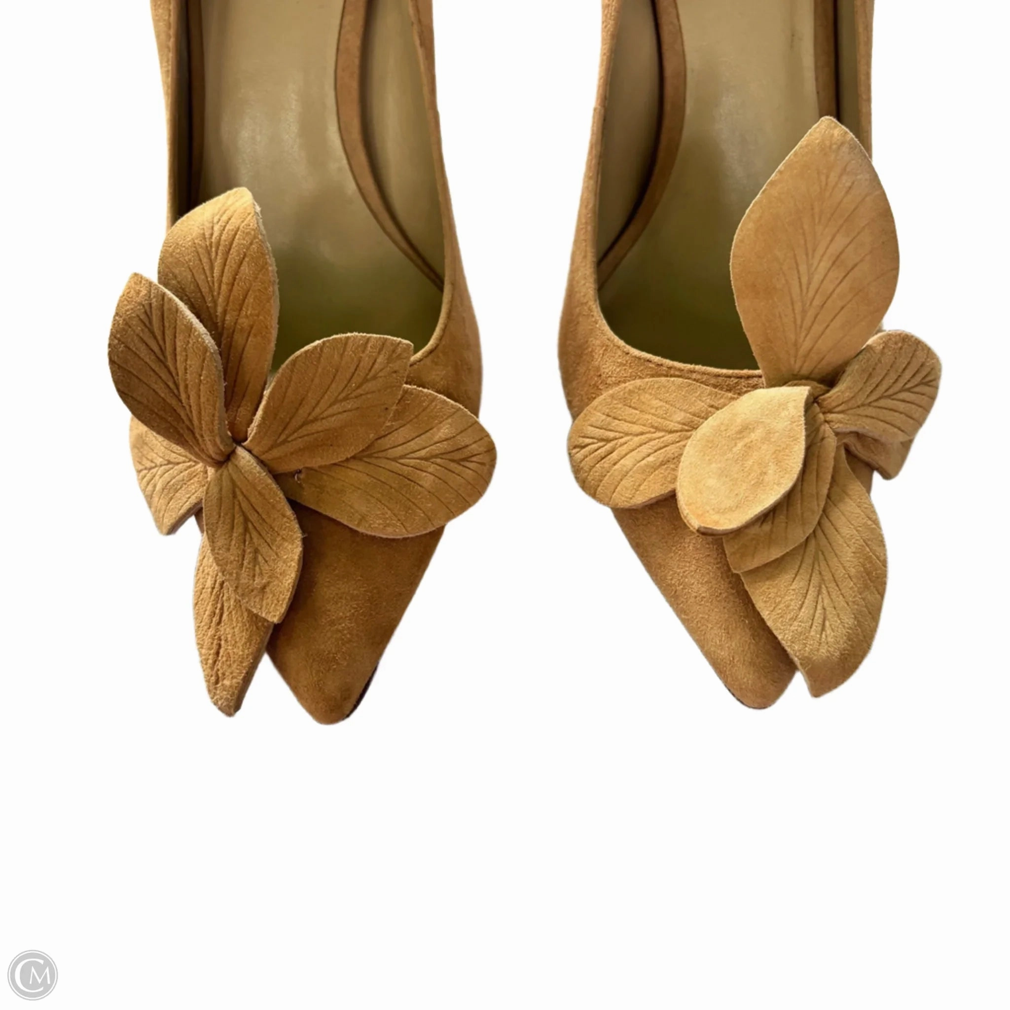 Shoes Heels Stiletto By Ann Taylor In Brown, Size: 6.5